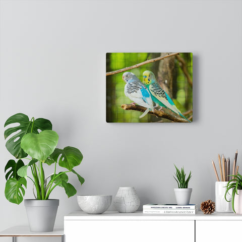 Couple of Parakeets Canvas (Wrapped)