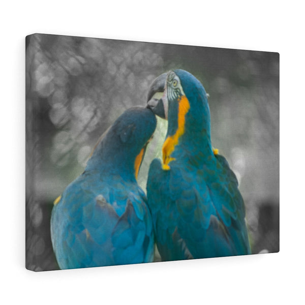 Love Birds Canvas (Wrapped)