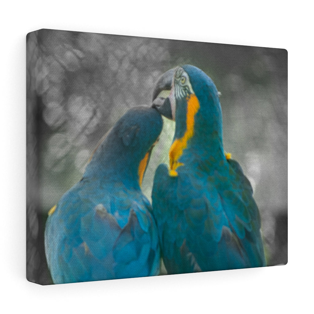 Love Birds Canvas (Wrapped)