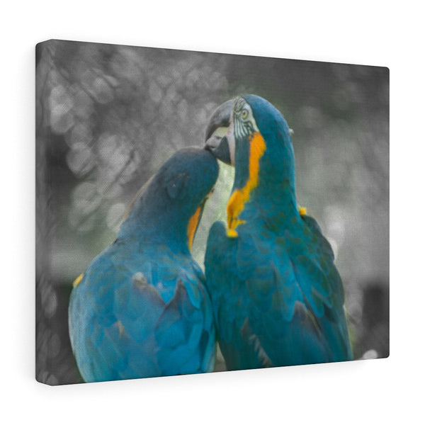 Love Birds Canvas (Wrapped)